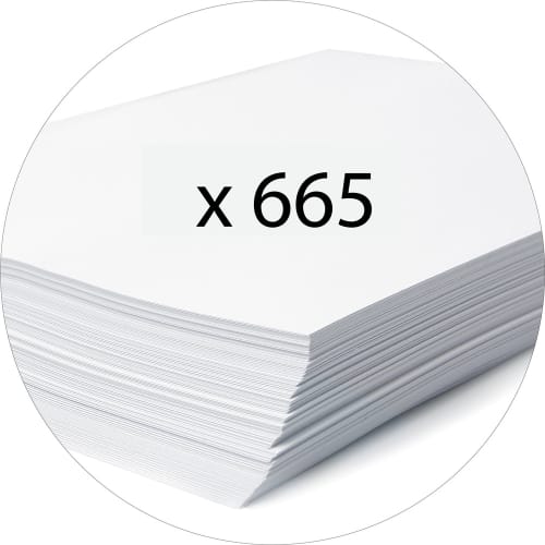 308382_d4