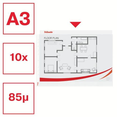447667_d2