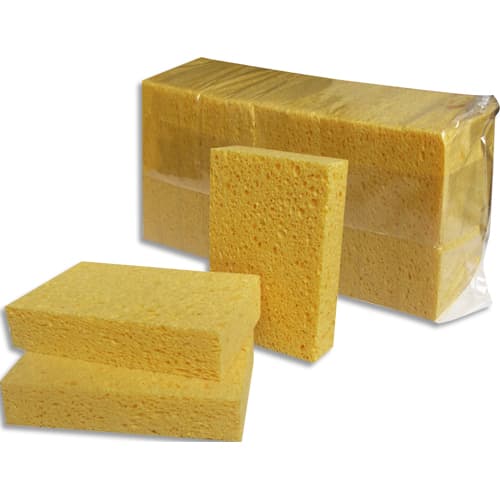 HYG S/10EPONGE VEGNON BORDEE N°6 HE061       512A