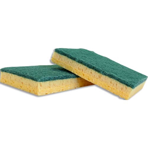 HYG S/10EPONG ABRAS VERTE 13x9CM JT04000       512B