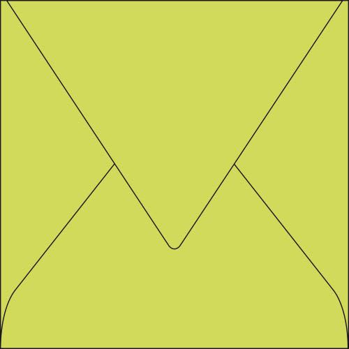 [731331] CLF P/20 ENV POLLEN 165X165 BOURGN 55473