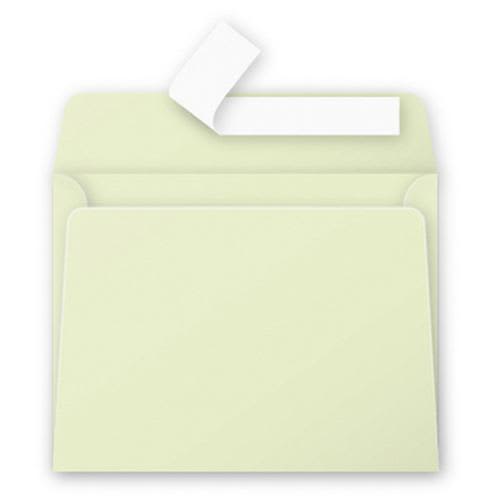 [731373] CLF P/20 ENV 9X14 POLLEN BOURGEON 5471