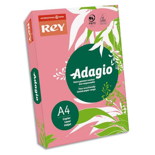[024888] REY R/500F A4 80G ROSE PA 2100052008       27C