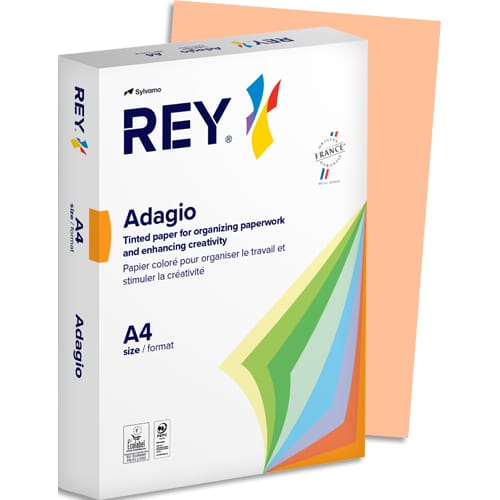 [024896] REY R/500F A4 80G SAUMON PA 2100052030       27C