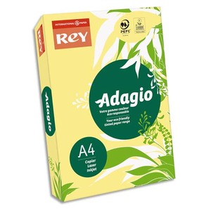 [024918] INA R/500F ADAG A4 80G CANARI PA 8001570       27C
