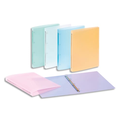 [041436] VIQ CLASSEUR PROPYSOFT D25 ASS 609135-08       188D