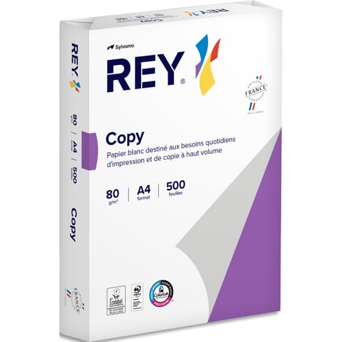 [109478] REY R/500F COPY A4 80G 2100063564       22A