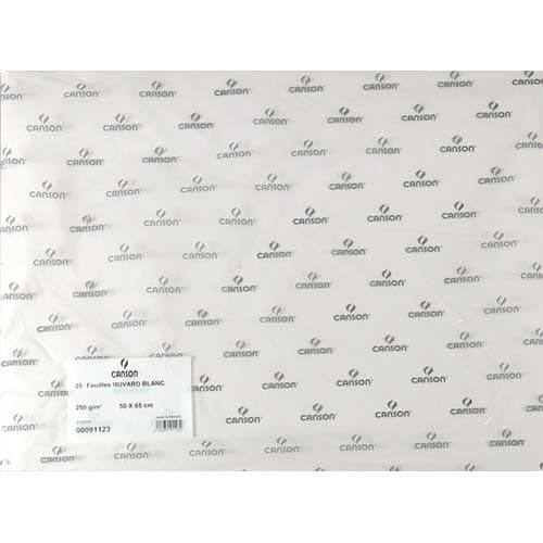 CAN FEUIL BUV 250G BLC 50X65 C200091123       382C