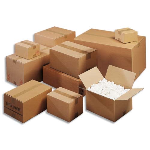 [132677] EMB P/10 CAISS DBCAN 50X40X40 ERU 400426       157B