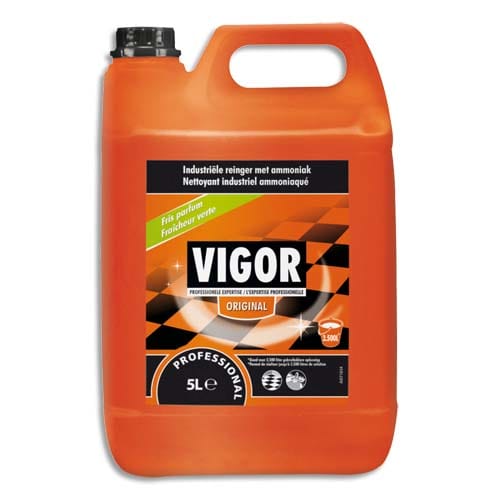 [175133] VGR BIDON 5L NETTOY IND VIGOR 100874684       506G