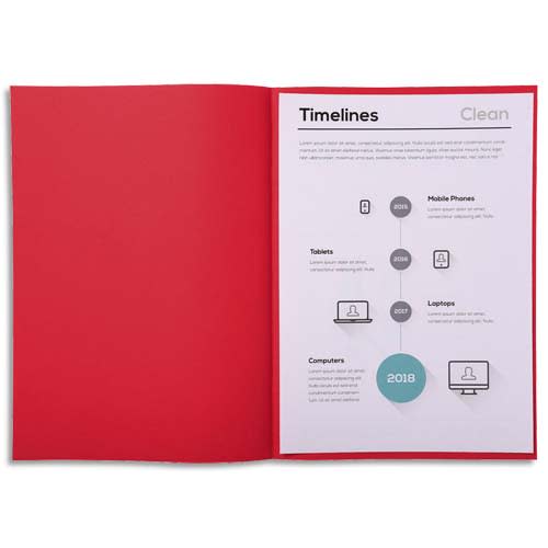 [195464] EXA P/250 S/CHEM 60G SUPER ROUGE 850012E       219A