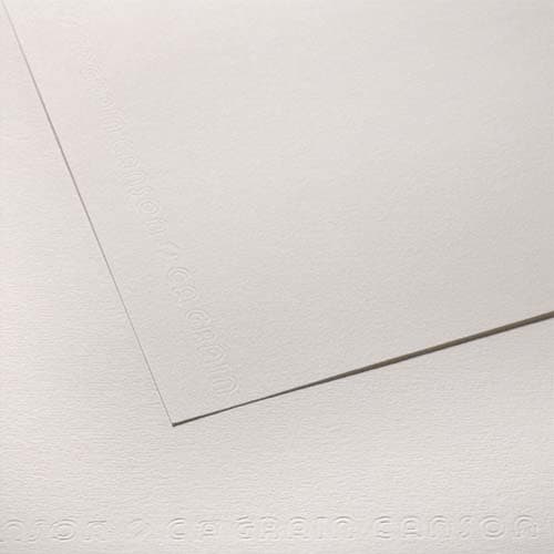 CAN FEUIL C A GRIN 224G 50X65 C31002S011       382D