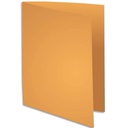 EXA P/100 CHEM ROCK'S 210G OCRE 210026E       219B