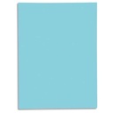 EXA P/50 CHEM 1 RABAT 210G BLEU 339006E       221B