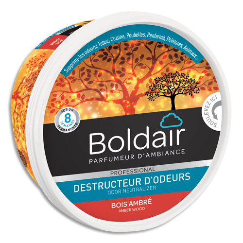 BOL GEL DEST ODEURS 300ML BOI PV56076302       500H