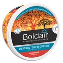 BOL GEL DEST ODEURS 300ML BOI PV56076302       500H