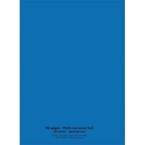 [302385] CNQ CAH 24X32 96P 5X5 PP BLEU 100902196       388A