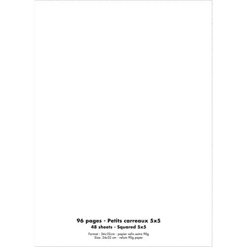 [302391] CNQ CAH 24X32 96P 5X5 PP INCOL 100902142       388A