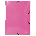 EXA CHEM 3RAB IDERAMA CTE A4 ROSE 55824E       224E