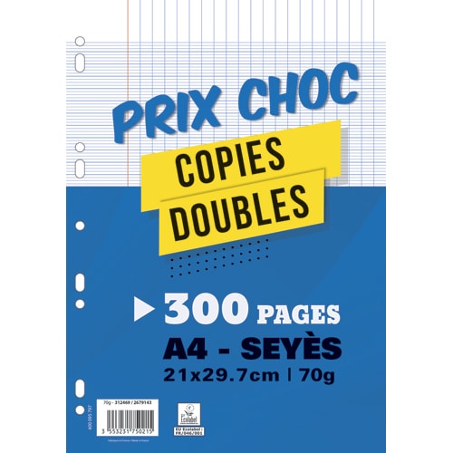1ER S/300 COPIE DBLE 70G SEY 400095124       398C