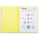EXA P/250 S/CHEM 60G SUPER JAUNE 850005E       219A