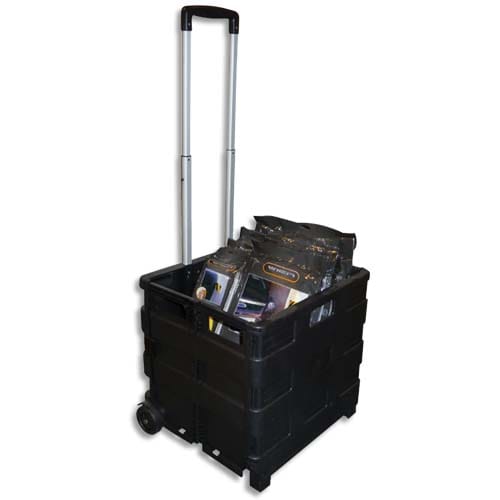 [365498] VIS CASIER PLIABLE POLYPRO N TROLLEY GP       529E