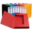 EXA BTE CLASSEMENT CARTOBOX D25ASS 18500       232C