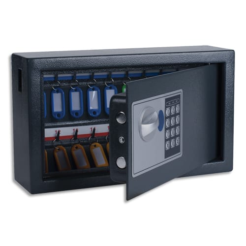 [385805] PAV ARMOIRE A CLES ELEC 20C GF 8002696       525E