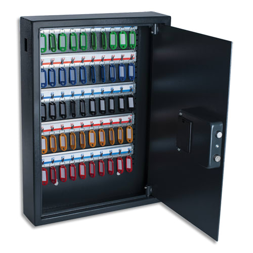 PAV ARMOIRE A CLES ELEC 50C GF 8033911       525E