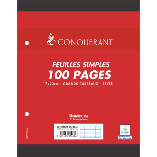 [402254] CNQ 100 PAGES FM 17X22 SEYES 400184484       399D