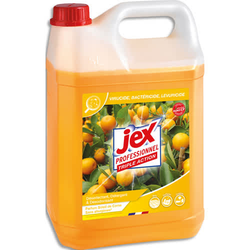 JEX PRO EXPRESS DESINFECTT 5L PV56090303       505E