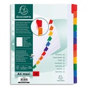 EXA INTERC 170G NEUTRE 12T A4+ 4312E       200C