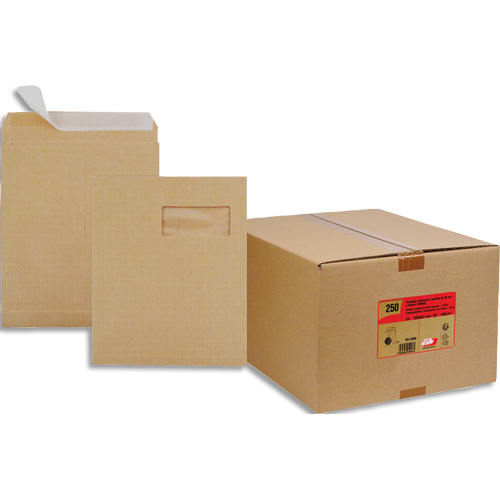 [412505] GPV B/250 POCHT KARM 3SOUF C4 FEN 5006       172A
