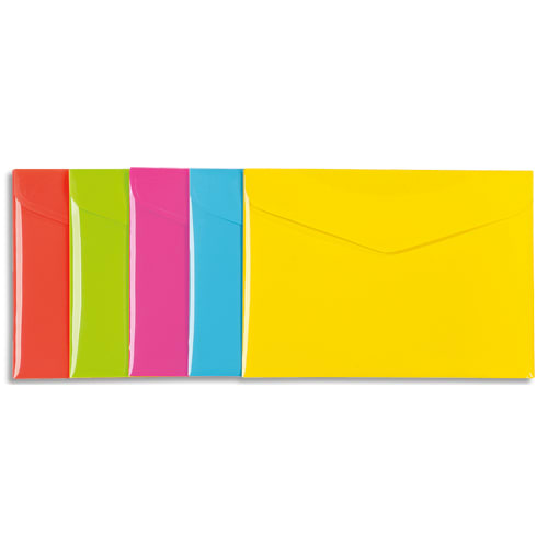 VIQ CHEM ENV A5+ HAPPYFLUO ASS 164731-08       214B