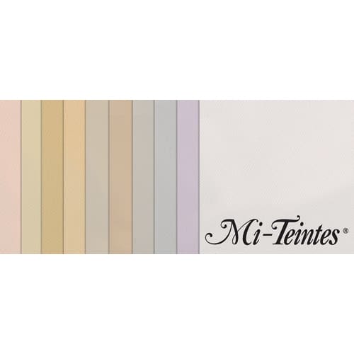 CAN 10 MITEINT 50X65 160G PST C31032S137       382A