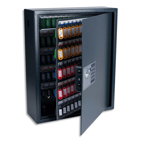 [446809] PAV ARMOIRE A CLES ELECT 100CLES 8056019       525E