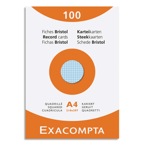 [449301] EXA E/100 BRISTOL NP A4 5X5 ASS 13276E       400A