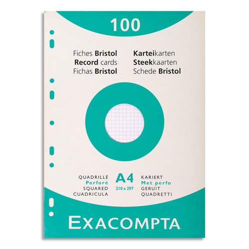 [449302] EXA E/100 BRISTOL PERFO A4 5X5 B 13606E       400A