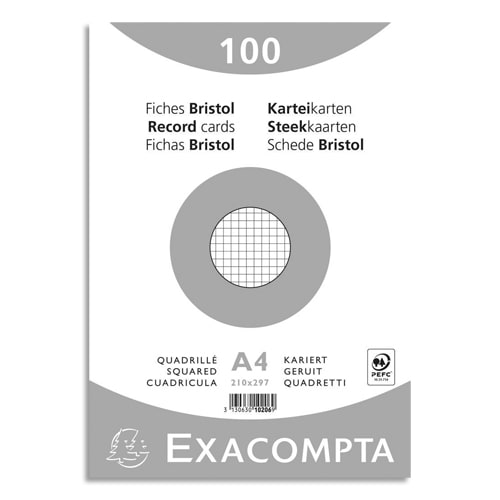 [449307] EXA S/100 BRISTOL NP A4 5X5 B 10206E       400A