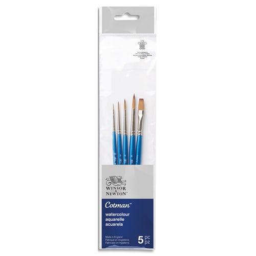 [456285] WIN SET/5 PINCEAUX COTMAN ASS 5390609       999W