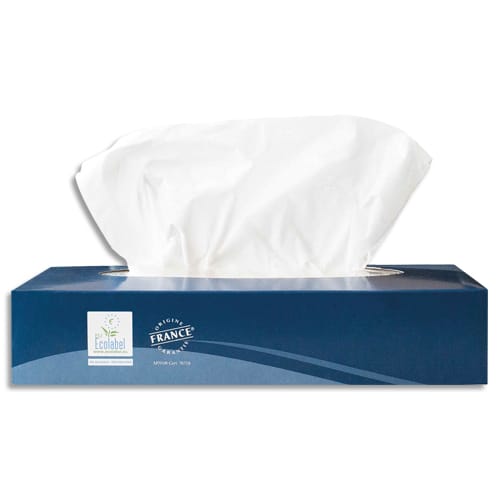 [459087] HYG BTE/100 MOUCHOIRS 2P BLC 01MO100       484A