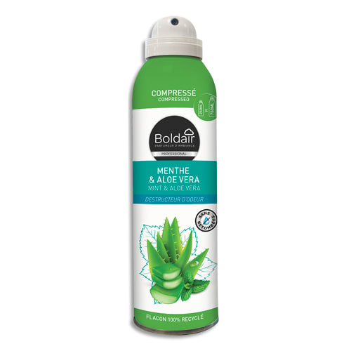 [459168] BOL AEROSOL 250ML MENTHE PV11618001       501A