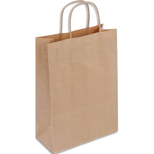 [459479] INA L/50 SAC KFT PT BR 22x31CM SKF22EC       455C