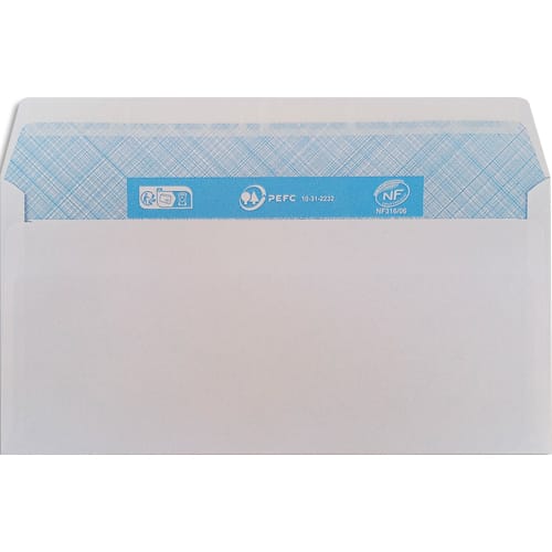 [580739] PRG B/500 ENV 80G DL AUTO ADHESIVE       166A