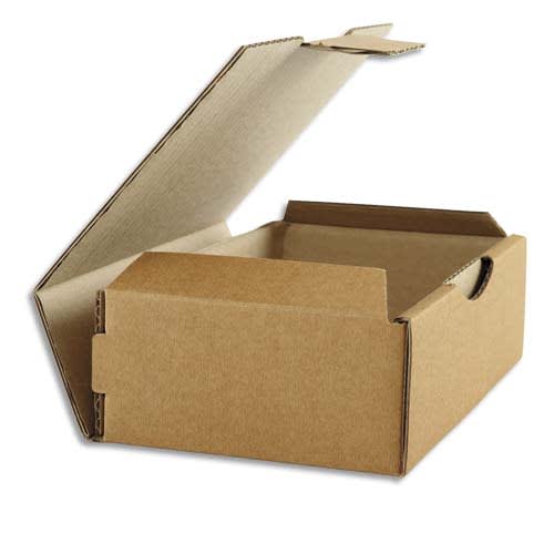 EMB BTE POSTALE SPC 24X17X5 HV 401247       154D