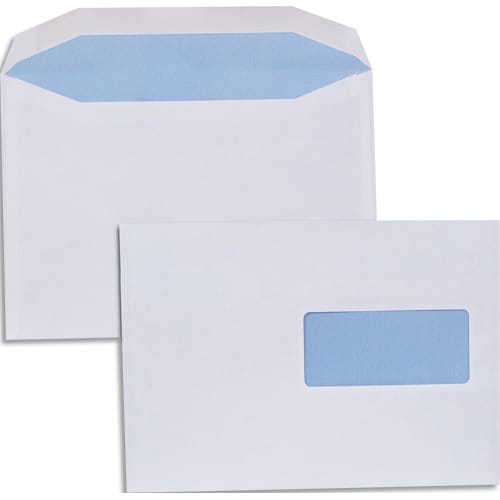 [706166] 1ER B/500 ENV 80G C5 F45 PATTE GOMMEE       171A