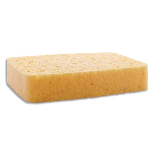NCS EPONGE VEGETALE N6 NON BORDEE 508083