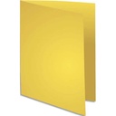 EXA P/100 CHEM 220G FLASH JAUNE 160005E       218C