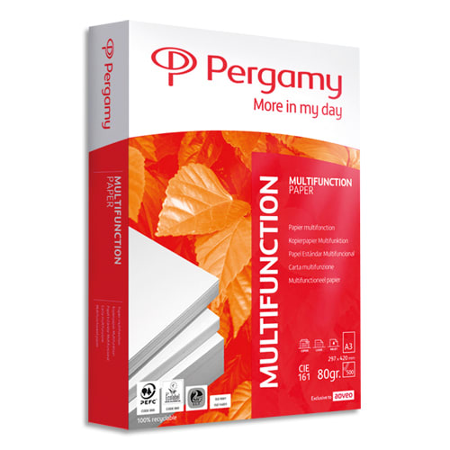 PRG R/500F MULTIFONCTION A3 80G CIE 161       23B