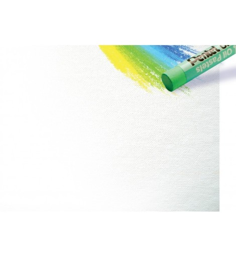 [043020] PEN B/50 PASTELS HUILE D8MM ASS PHN-50U       999W
